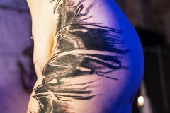 DSCF6199
