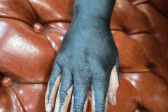 20241212_170455