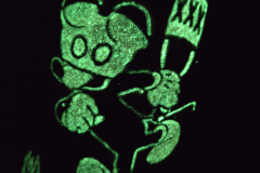 20250222_004024
