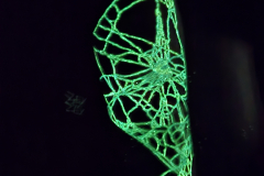 20250716_192828